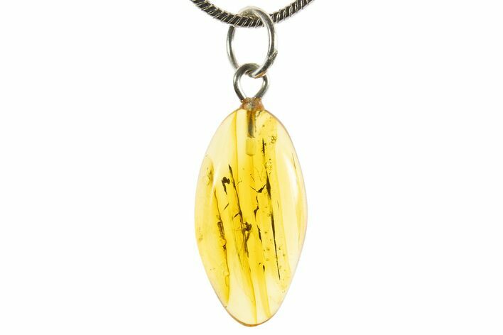 Polished Baltic Amber Pendant (Necklace) - Contains Fly! #339555